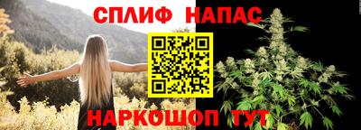 стафф Нальчик