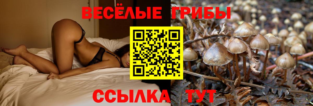 Псилоцибиновые грибы ЛСД Серпухов